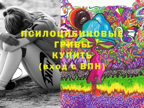 2c-b Алзамай